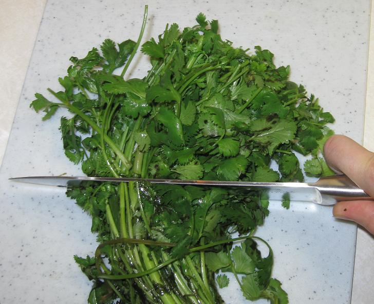 cilantropesto_00