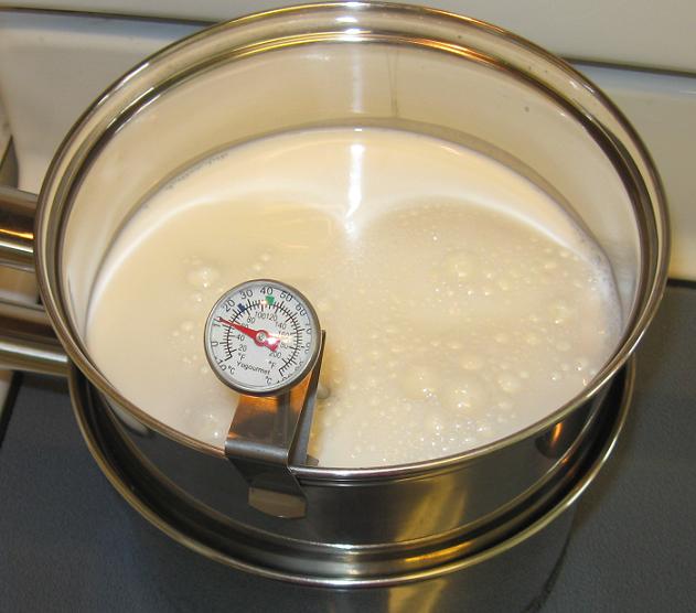 Yogourmet Yogurt Making Thermometer